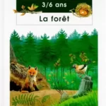 Questions / réponses : la forêt