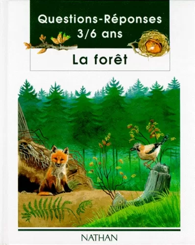 Questions / réponses : la forêt