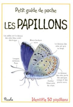 Les papillons - Petit Guide De Poche - Piccolia