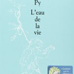 L'Eau de la vie - Olivier Py