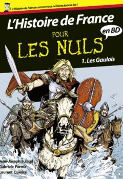 Pour les nuls : L'histoire de France - Gabriele PARMA, Laurent QUEYSSI Jean-Joseph JULAUD