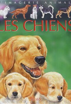 La grande imagerie : Les Chiens - Emilie Beaumont