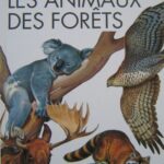 Les animaux des forêts - M. Chinery