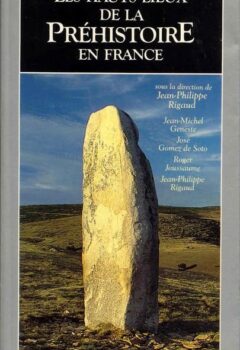 Les Hauts lieux de la préhistoire en France - Jean-Michel Geneste