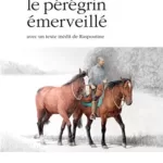 Le pérégrin émerveillé - Jean-Louis Gouraud