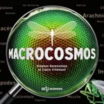 Macrocosmos - Claire Villemant