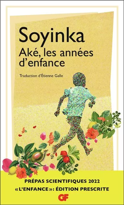 Aké, les années d'enfance - Wole Soyinka