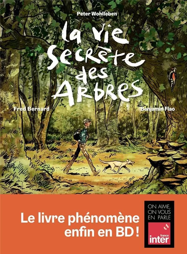 La vie secrète des arbres en BD - Peter Wohlleben, Fred Bernard