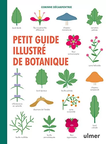 Petit guide illustre de botanique jpeg