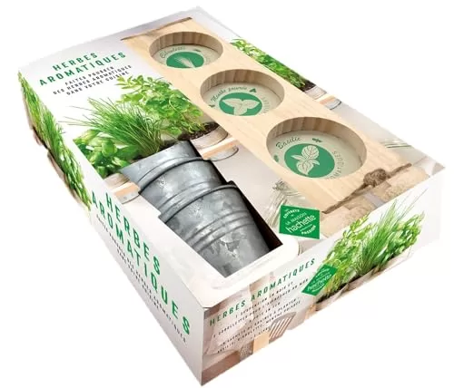 Box Gourmande - Kit Herbes Aromatiques pour Balcon