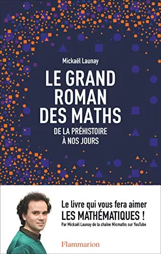 Le grand roman des maths - De la préhistoire à nos jours - Mickaël Launay