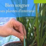 Bien Soigner Ses Plantes d'intérieur Alain Delavie