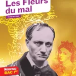 Les Fleurs du mal Suivi d'un parcours Alchimie poétique la boue et l'or Charles Baudelaire