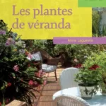 Les Plantes De Veranda jpeg