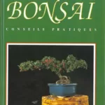 Reussir son bonsai Conseils pratiques jpeg