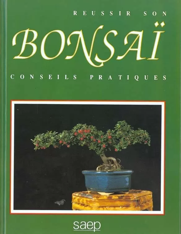 Reussir son bonsai Conseils pratiques jpeg