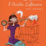 Le Journal D'aurélie Laflamme Tome 6 - Ca Déménage ! - India Desjardins