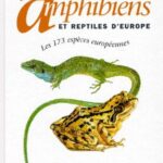 Guide des amphibiens et reptiles d'Europe - Gilbert Matz, Denise Weber