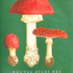 Nouvel atlas des champignons Tome 1 - Henri Romagnesi