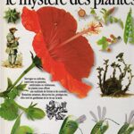 Le Mystère des plantes - David Burnie