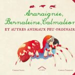 Araraignée bernaleine calmaléon - Et autres animaux peu ordinaires - Coralie Saudo