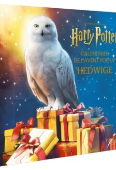 Calendrier de l'Avent Hedwige Harry Potter