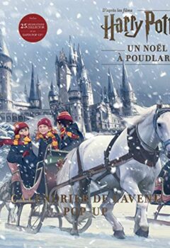 Calendrier de l'avent Pop-up Harry Potter - Un Noël à Poudlard - Wizarding World