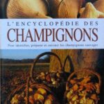 L'encyclopédie des champignons - Thomas Laessoe, Anna Del Conte