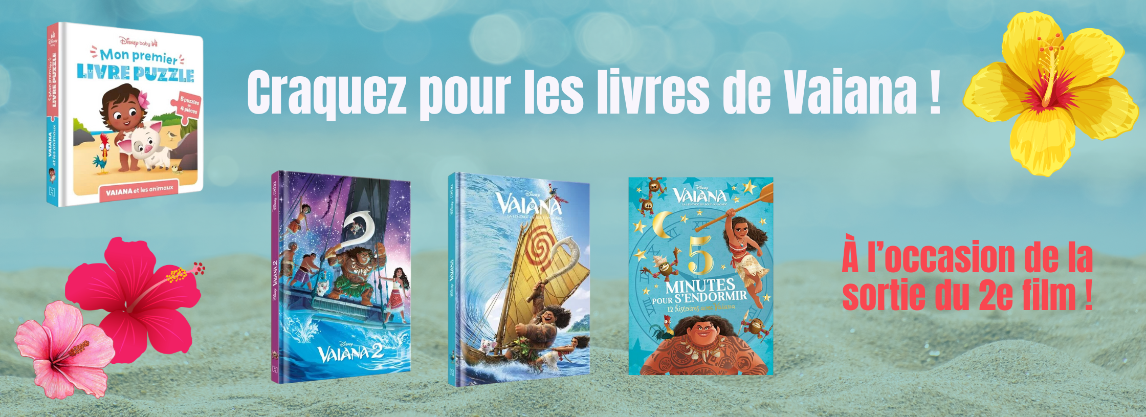 vaiana 2 livres occasion livres pas chers occasion disney pas chers occasion