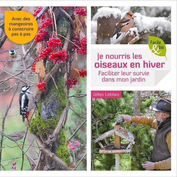 Je nourris les oiseaux en hiver : faciliter leur survie dans mon jardin